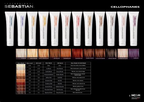 sebastian cellophane hair colors.